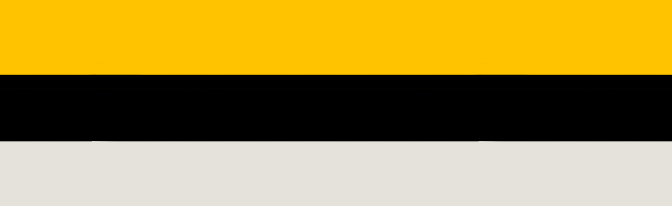 Conexya TC WorldPixel Discord Server Banner