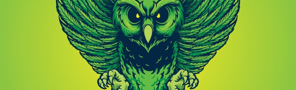 Warlock's Paradise Discord Server Banner