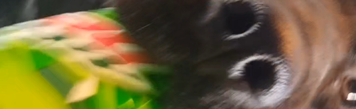 Quiet space Discord Server Banner