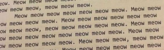 The Scratching Post Discord Server Banner