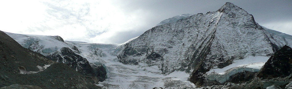 NovaTendo! Discord Server Banner