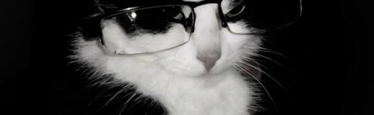 Cloudys vault Discord Server Banner