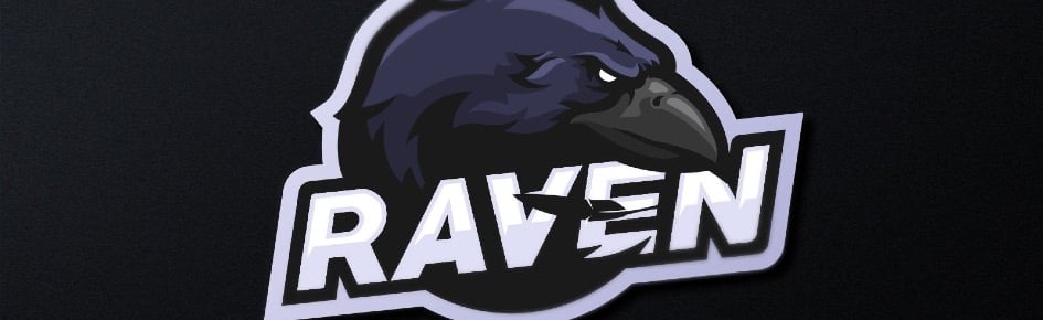 Raven eSports Discord Server Banner