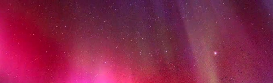 Ultimate Media Fan Club Discord Server Banner