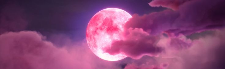 ʞގ0ގ Discord Server Banner