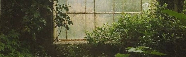 MoonNight Discord Server Banner