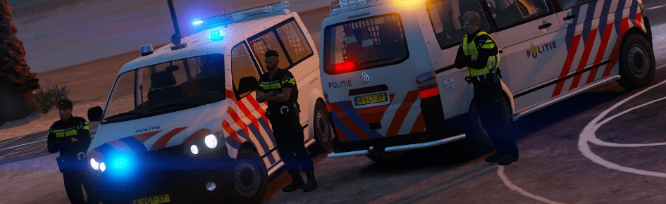 Vinity RP Discord Server Banner