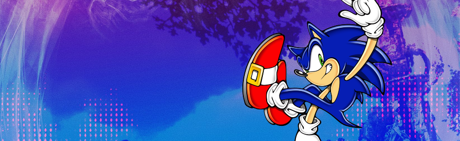 SONIC ✦ RP / ERP REQUESTS Discord Server Banner