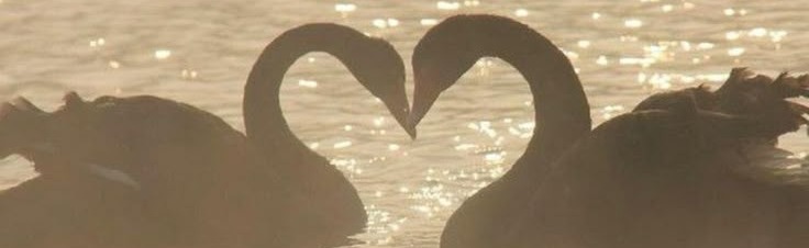 alzzi (best fuckin server duh) Discord Server Banner