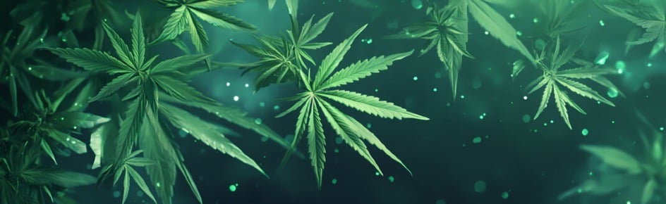 Geek Squad Discord Server Banner