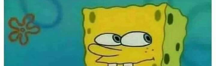 Bubalo Discord Server Banner