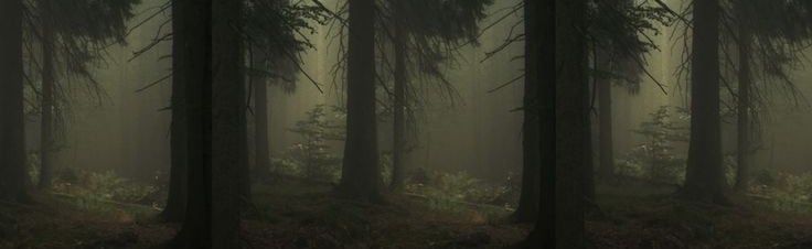The Forest 🌲🐺 Discord Server Banner