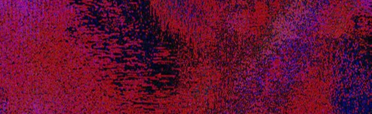 Fly Dive Dream Discord Server Banner