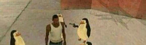 The Collection Discord Server Banner