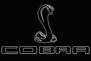 ?????? ????????™? Discord Server Banner