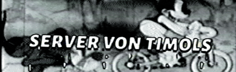 TimoLS Welt -V2 Discord Server Banner