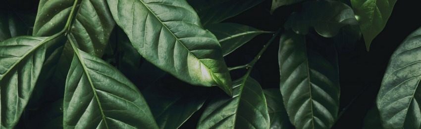 ??? ??????????? ? Discord Server Banner