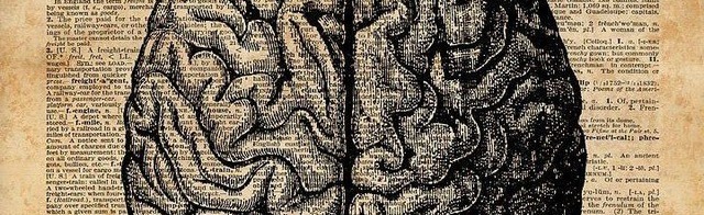 denote Discord Server Banner