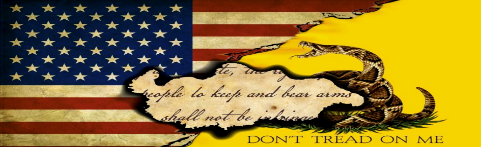 AmericanPixel Discord Server Banner