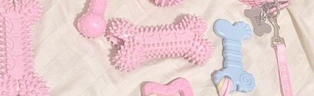 Sophie's Puppy Palace Discord Server Banner