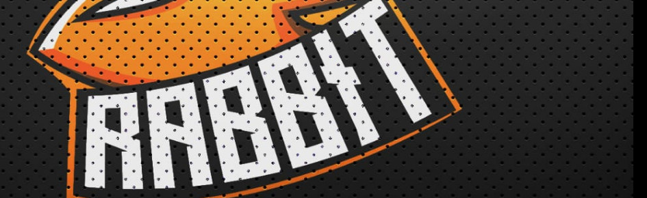 RΛBBIƬ GΛMIПG Discord Server Banner