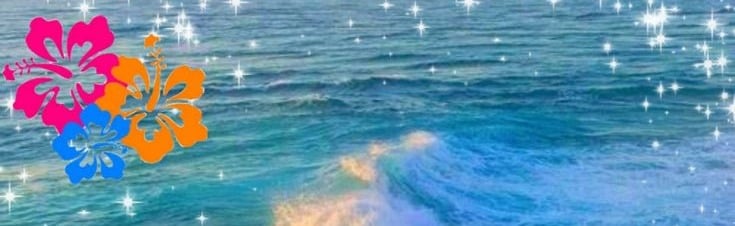 the beach Discord Server Banner