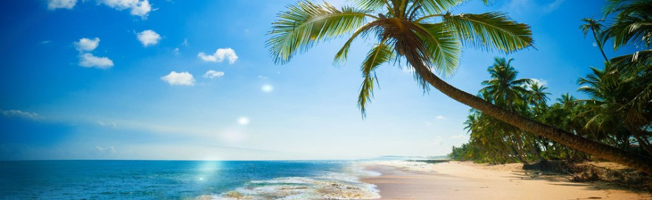 Floofer's Utopia Discord Server Banner