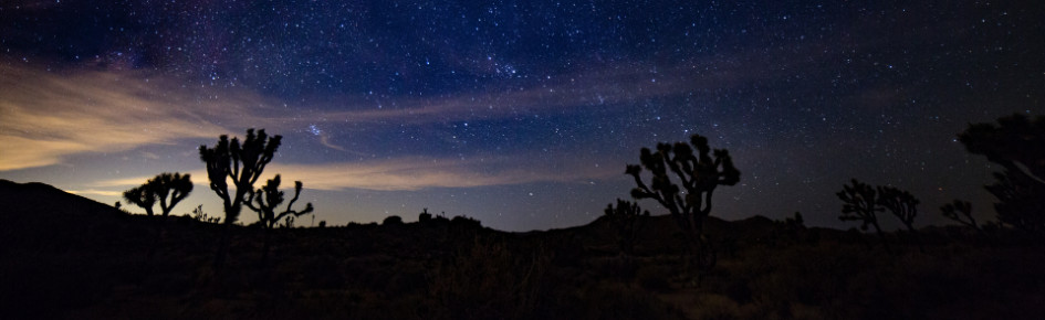 Firemongers Discord Server Banner