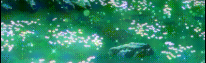 •°. *࿐ Serene °:. *₊ ° . ° .• Discord Server Banner