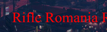 Rifle Romania Discord Server Banner