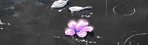 Zenith Discord Server Banner