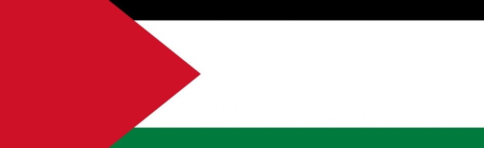 Palestine CPN Discord Server Banner