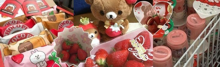 ❤⊹.raise a kitten ! 𝜗𝜚 Discord Server Banner