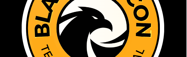 BLACK FALCON Discord Server Banner