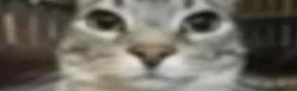 goons Discord Server Banner