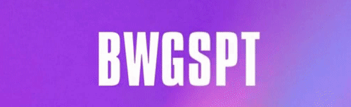 Bwgspt Server Discord Server Banner