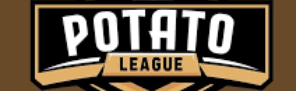 Rocket League Potato League Discord Server Banner