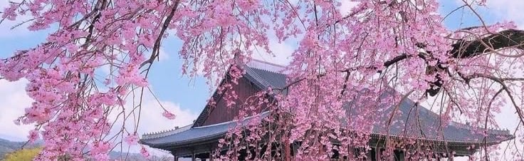 KoreanVibes Discord Server Banner