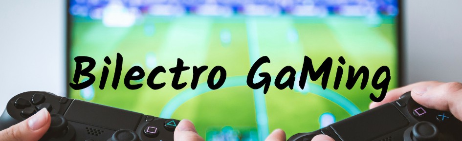 Bilectro GaMing Discord Server Banner