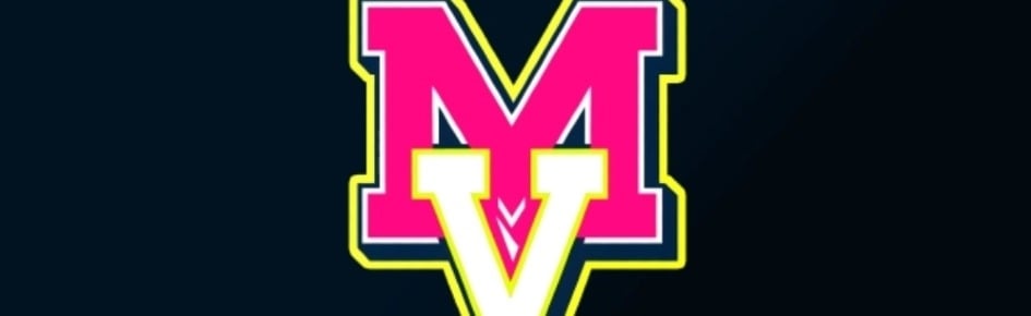 MediaVerse Discord Server Banner