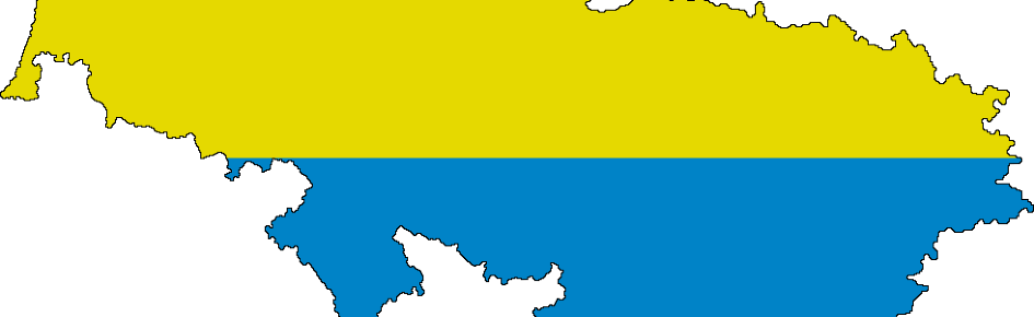 Śląsk Discord Server Banner