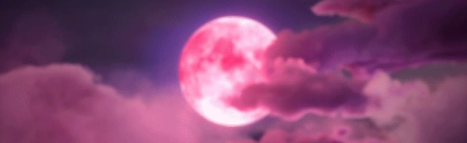 bumpy Discord Server Banner