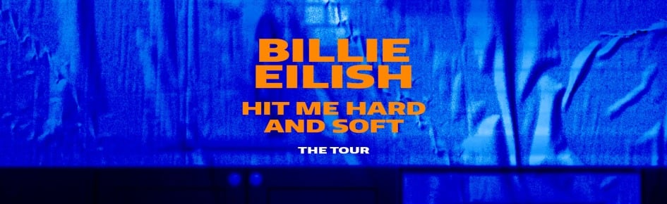 Hit Me Hard And Soft: The Tour Discord Server Banner