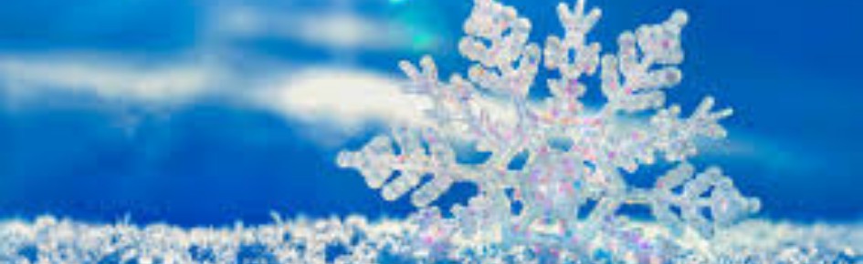 Handicap Discord Server Banner