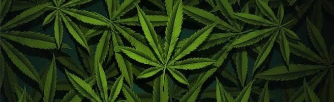 [ ZaZa ] Discord Server Banner