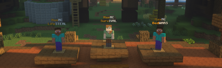 HaxMC Discord Server Banner