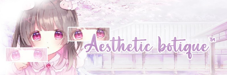 Aesthetic Boutique Discord Server Banner