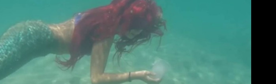 ?The Mermaids Tear? Discord Server Banner