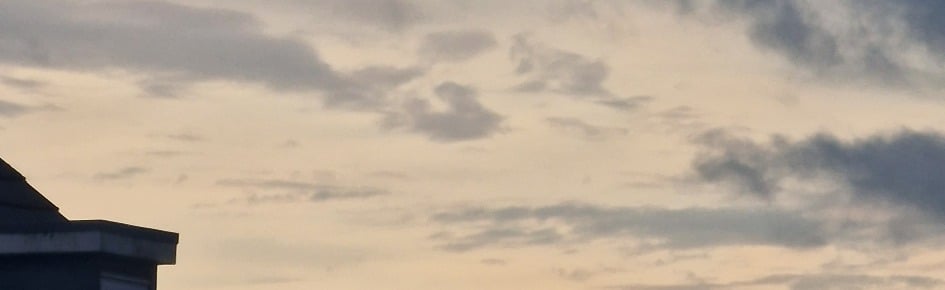 bluey Discord Server Banner