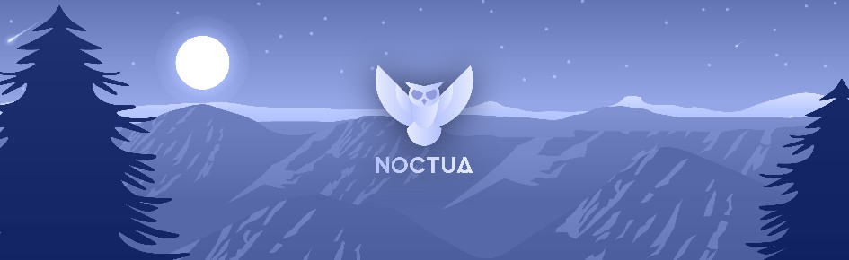 Noctua Discord Server Banner
